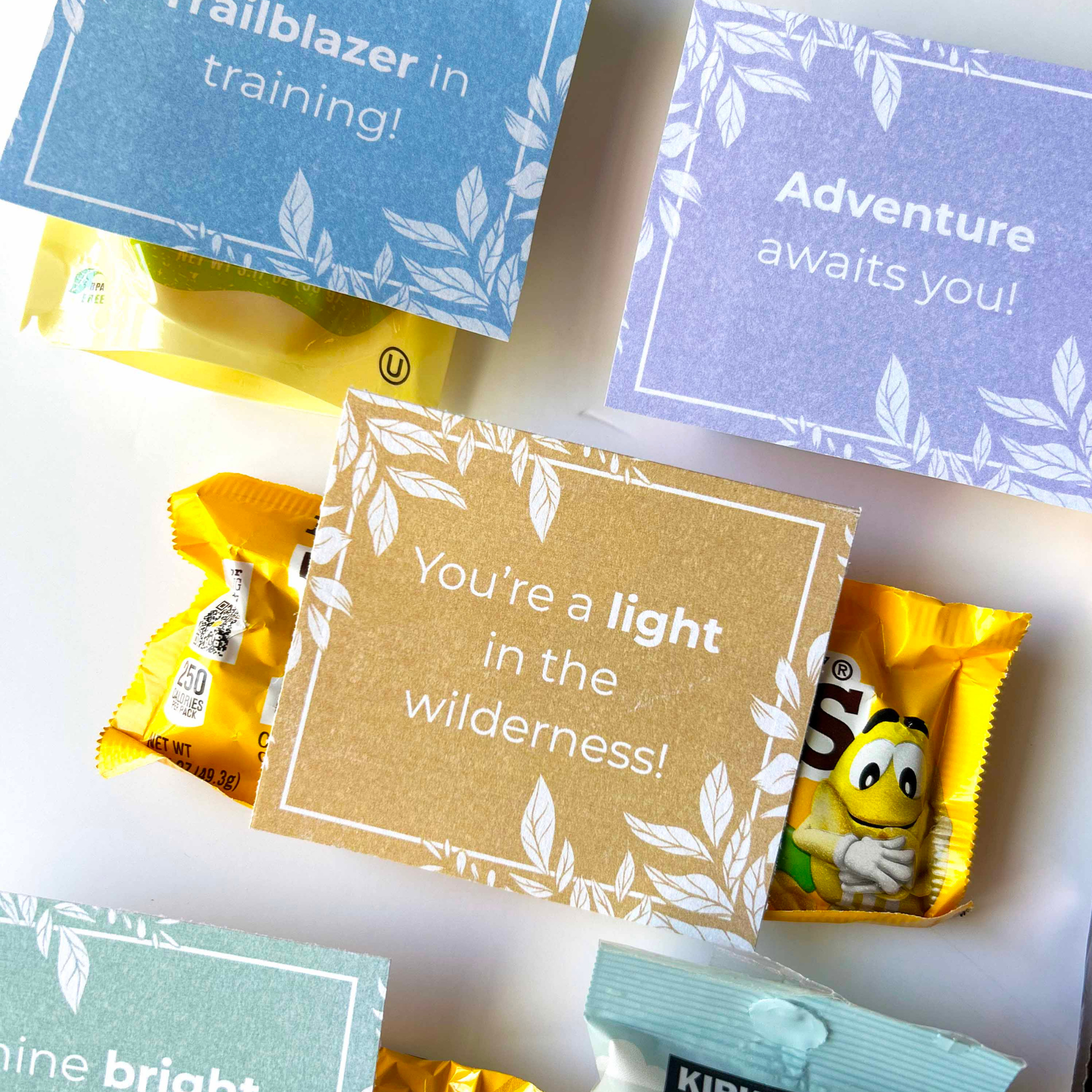 Instant Download Digital Printable Girls Camp Treat Tag LDS Young Women Secret Sister Gift Budget Friendly DIY Design Reusable Camp Activity Youth Leader Resource Pillow Tag Shape Youth Conference Mutual Night Gift Religious Youth Activity