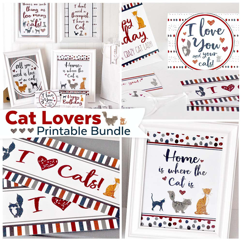 Cat Lovers Printable Kit Ministering Printables
